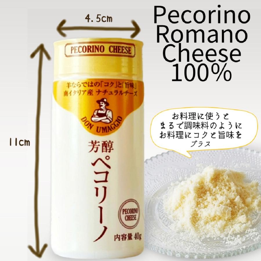 イタリア産 ペコリーノロマーノパウダー 1Kg
