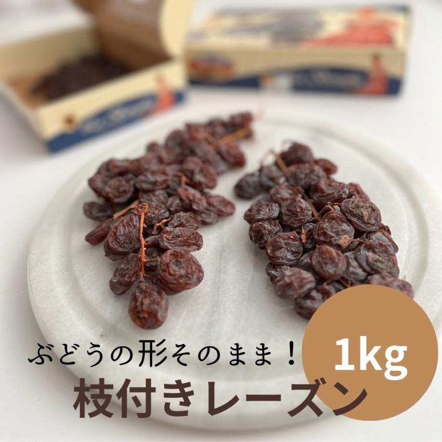 枝付き レーズン 1kg 大容量 種あり スペイン マガラ ぶどう