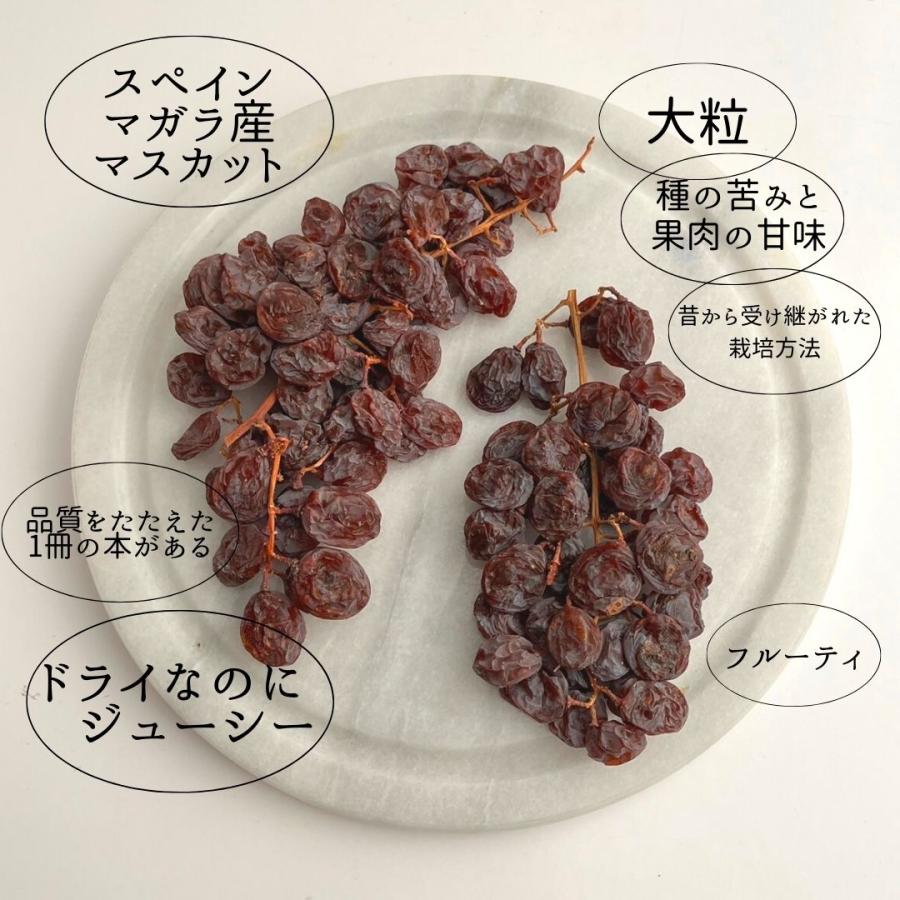 枝付き レーズン 1kg 大容量 種あり スペイン マガラ ぶどう