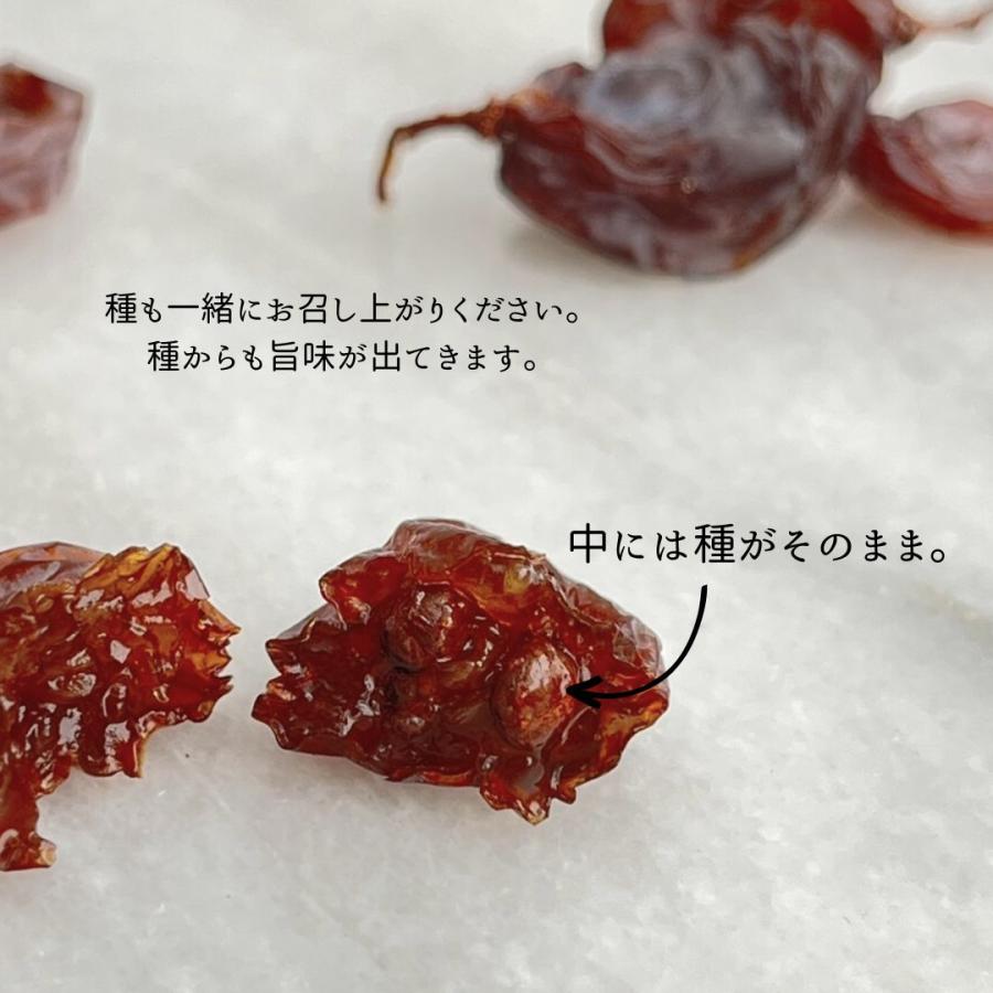 枝付き レーズン 1kg 大容量 種あり スペイン マガラ ぶどう
