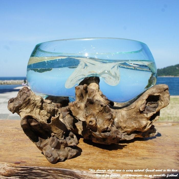 吹きガラスと天然木のオブジェ B25 金魚鉢 メダカ水槽 花瓶 流木ガラス ガラス鉢 プランター 花瓶 アクアリウム ガラスボウル テラリウム  コケリウム :GRglass-B25:バリ家具の専門店Q-STYLE - 通販 - Yahoo!ショッピング