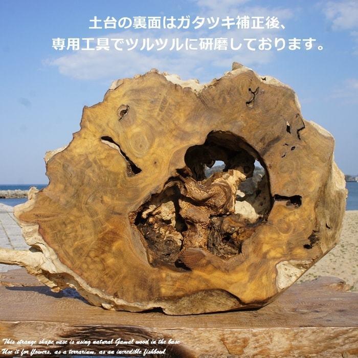 吹きガラスと天然木のオブジェ L 金魚鉢 メダカ水槽 花瓶 流木ガラス