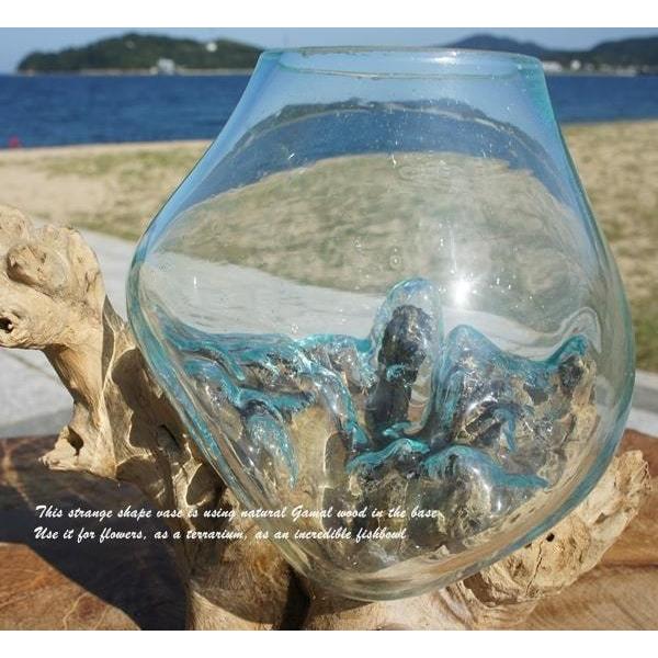 吹きガラスと天然木のオブジェ S20 金魚鉢 メダカ水槽 花瓶 流木ガラス
