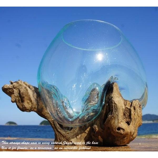 吹きガラスと天然木のオブジェ S20 金魚鉢 メダカ水槽 花瓶 流木ガラス 