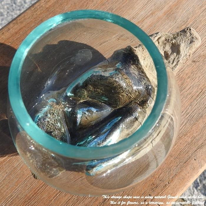 吹きガラスと天然木のオブジェ W11 金魚鉢 メダカ水槽 花瓶 流木 吹きガラスと天然木のオブジェ W11 金魚鉢 メダカ水槽 花瓶 流木