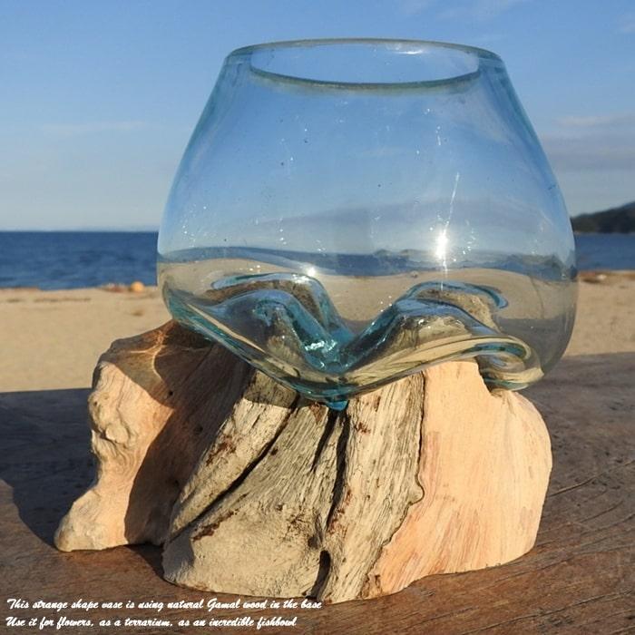 吹きガラスと天然木のオブジェ W12 金魚鉢 メダカ水槽 花瓶 流木ガラス ガラス鉢 プランター 花瓶 アクアリウム ガラスボウル テラリウム コケリウム｜q-style｜15
