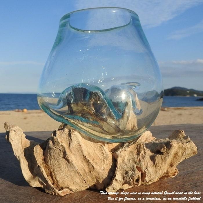 吹きガラスと天然木のオブジェ W12 金魚鉢 メダカ水槽 花瓶 流木ガラス ガラス鉢 プランター 花瓶 アクアリウム ガラスボウル テラリウム コケリウム｜q-style｜07
