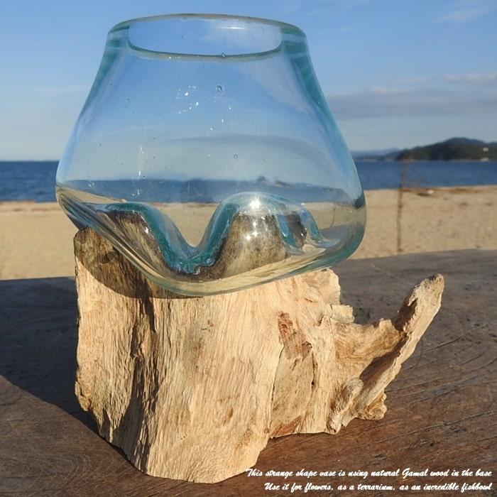吹きガラスと天然木のオブジェ W12 金魚鉢 メダカ水槽 花瓶 流木ガラス ガラス鉢 プランター 花瓶 アクアリウム ガラスボウル テラリウム コケリウム｜q-style｜08