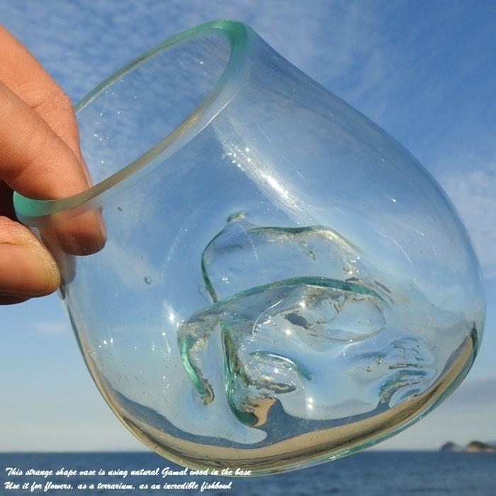 吹きガラスと天然木のオブジェ W12 金魚鉢 メダカ水槽 花瓶 流木