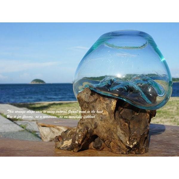 吹きガラスと天然木のオブジェ XS15 金魚鉢 メダカ水槽 花瓶