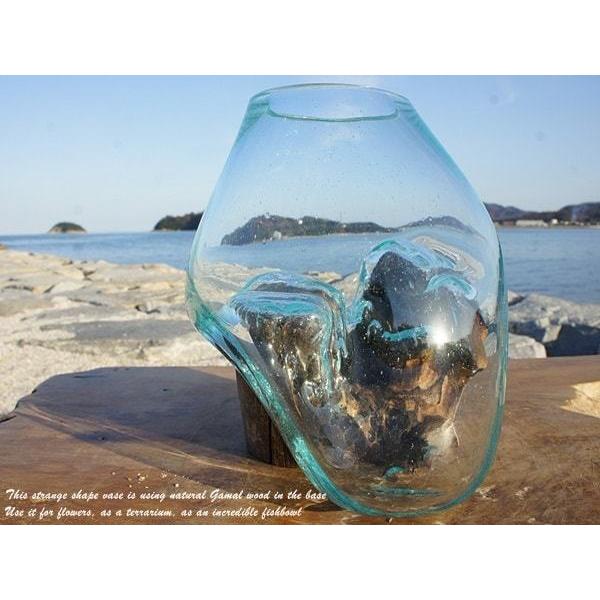 吹きガラスと天然木のオブジェ XS15 金魚鉢 メダカ水槽 花瓶 流木ガラス ガラス鉢 プランター 花瓶 アクアリウム ガラスボウル テラリウム コケリウム｜q-style｜15