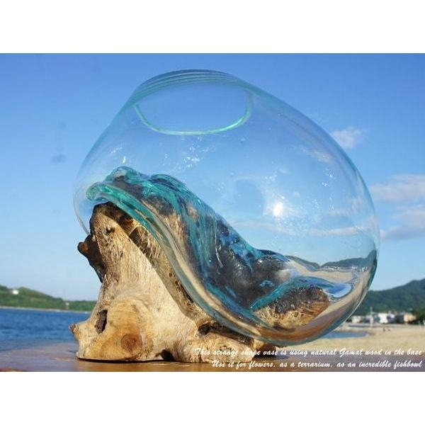 吹きガラスと天然木のオブジェ XSP18 金魚鉢 メダカ水槽 花瓶 流木ガラス ガラス鉢 プランター 花瓶 アクアリウム ガラスボウル テラリウム コケリウム｜q-style