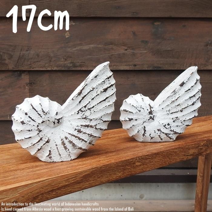 木製オブジェ オウムガイ Mサイズ 17cm 貝 ホワイトウォッシュ 木彫り 