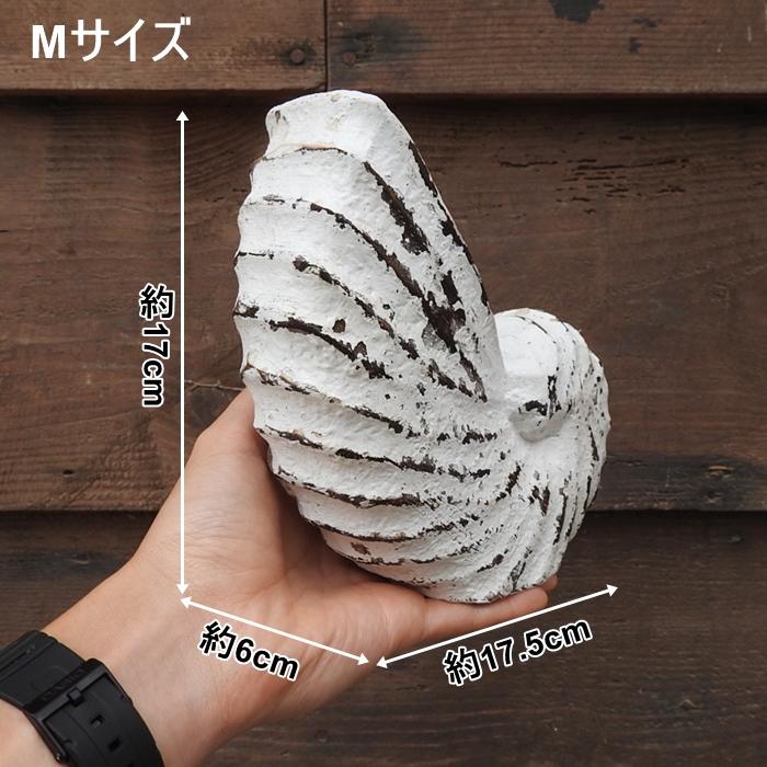 木製オブジェ オウムガイ Mサイズ 17cm 貝 ホワイトウォッシュ 木彫り 