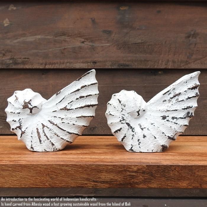 木製オブジェ オウムガイ Sサイズ 13.5cm 貝 ホワイトウォッシュ