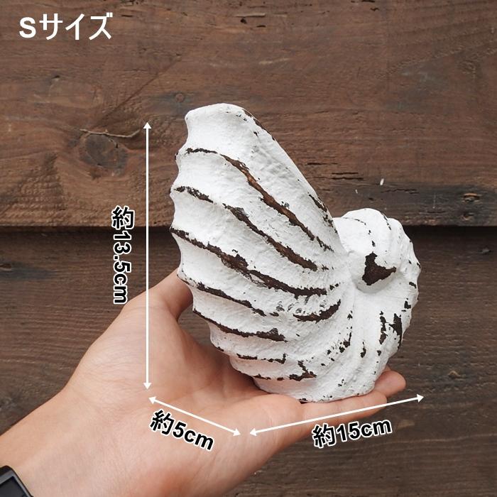 木製オブジェ オウムガイ Sサイズ 13.5cm 貝 ホワイトウォッシュ
