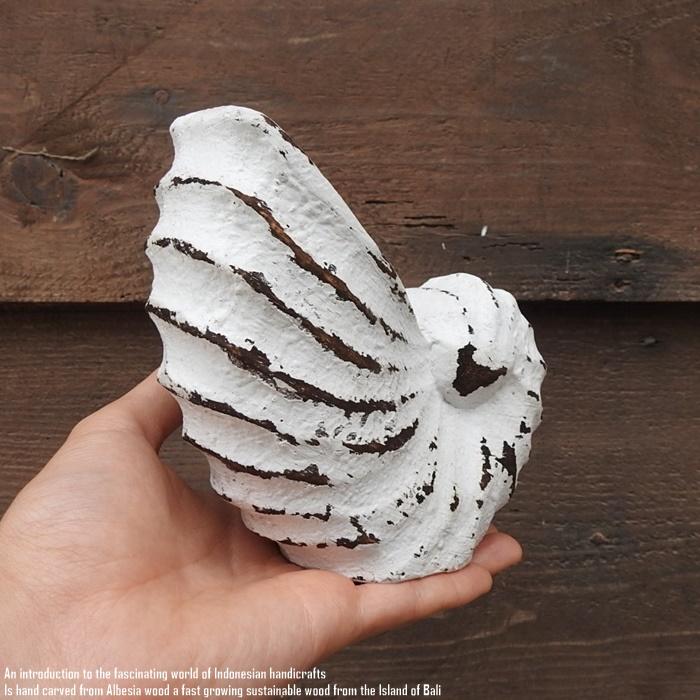 木製オブジェ オウムガイ Sサイズ 13.5cm 貝 ホワイトウォッシュ