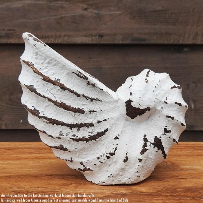 木製オブジェ オウムガイ Sサイズ 13.5cm 貝 ホワイトウォッシュ