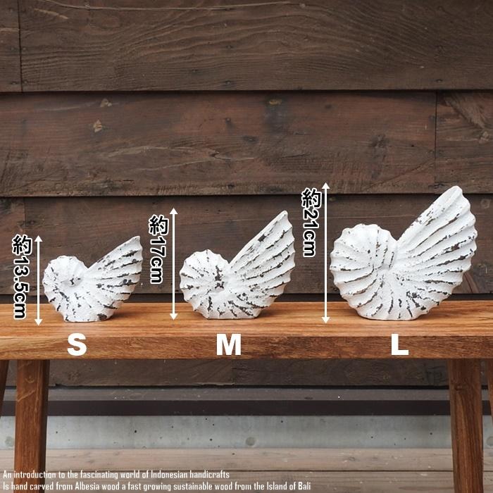 木製オブジェ オウムガイ Sサイズ 13.5cm 貝 ホワイトウォッシュ