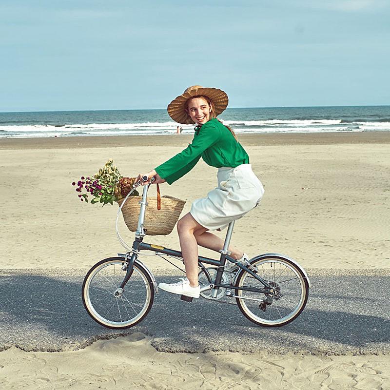 DAHON（ダホン） 2026年モデル BOARDWALK D7 （ボードウォークD7