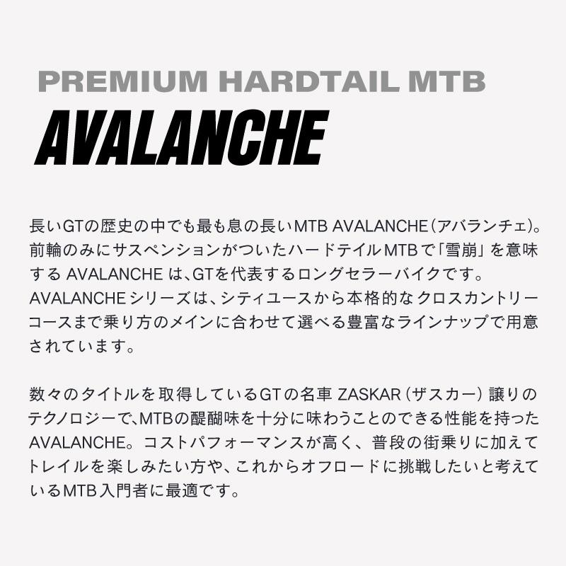 【アウトレット】ジーティー 2024年モデル AVALANCHE EXPERT （アバランチェエキスパート） 27.5インチ 29インチ GT | GT | 19