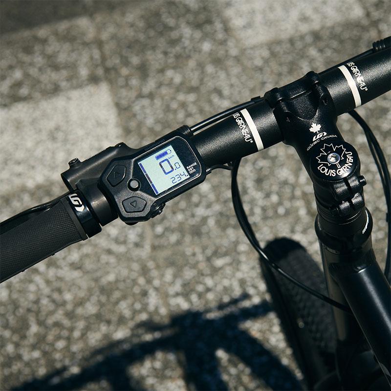 ルイガノ（LOUIS GARNEAU） 2023年モデル EASEL-E （イーゼルE