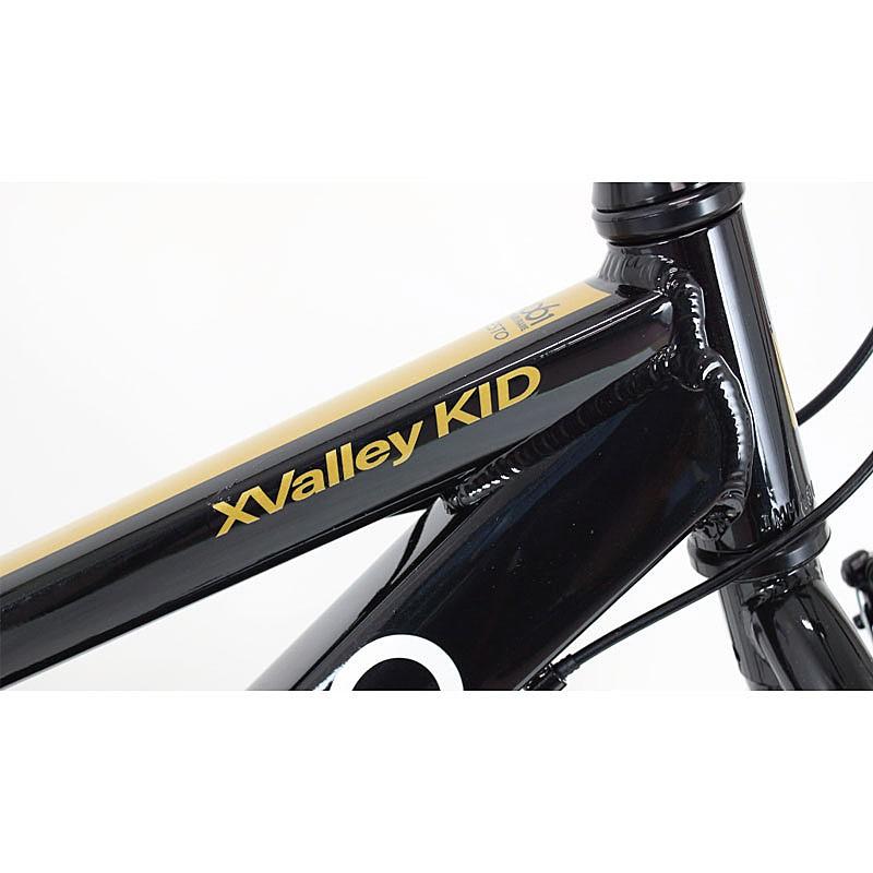 ネスト 2021年モデル X-VALLEY KID 24 （クロスバレーキッド24） NESTO | ブランド登録なし | 03