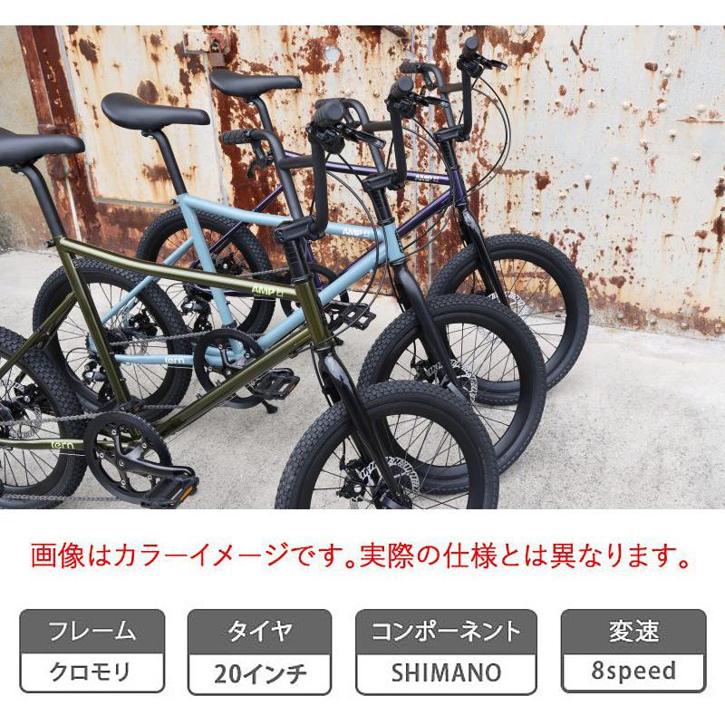 ターン 2026年モデル AMP F1（アンプF1） TERN 在庫あり | ブランド登録なし | 01