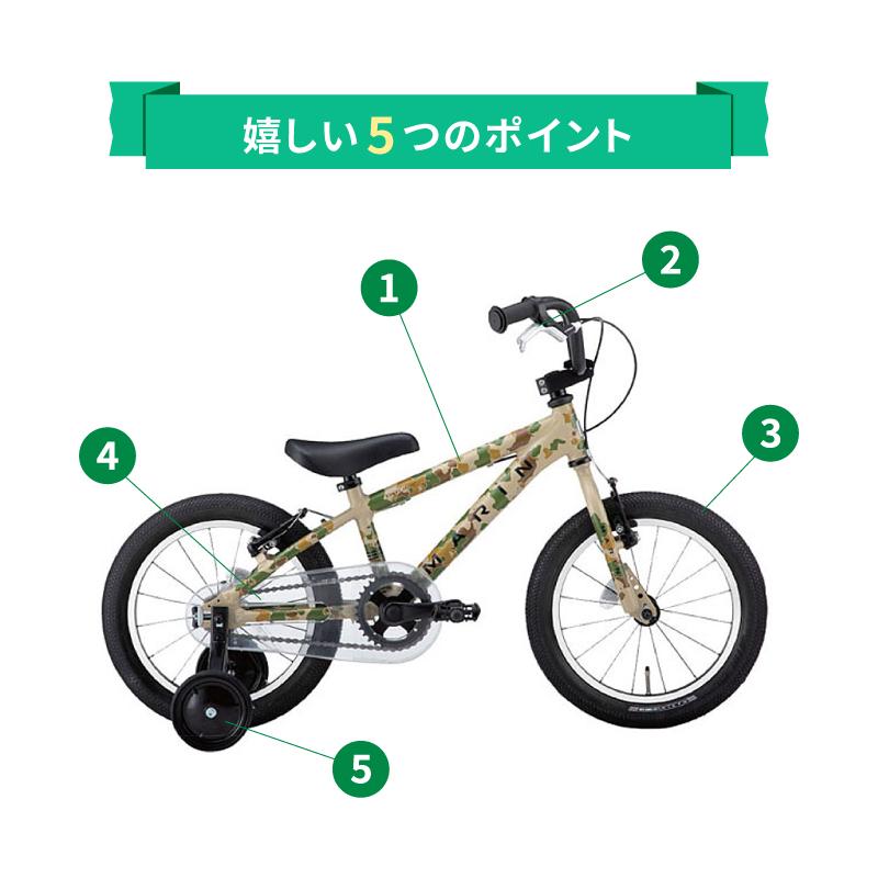 マリン 2022年モデル DONKY JR 16 LIMITED（ドンキージュニア16リミテッド） MARIN | MARIN | 05