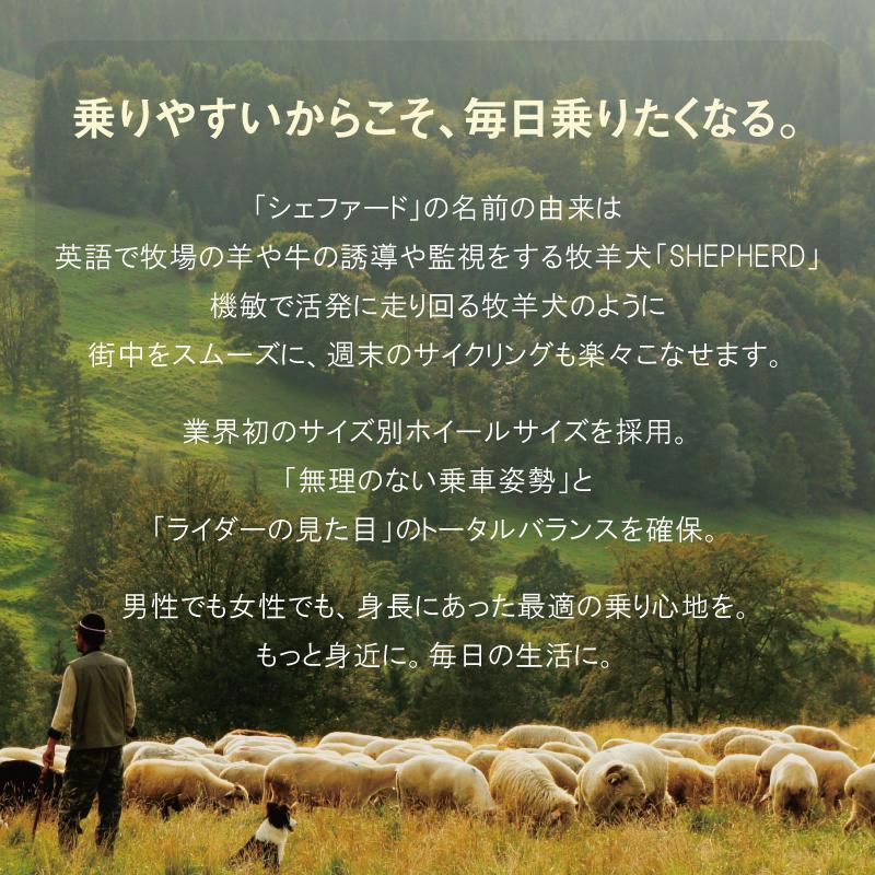 ライトウェイ 2026年モデル SHEPHERD （シェファード）限定カラー RITEWAY 在庫あり | RITEWAY | 13