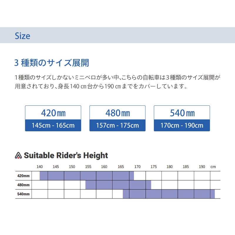 アラヤ MUDDY FOX COMPACT（マディフォックスコンパクト） MFC ARAYA | ブランド登録なし | 13