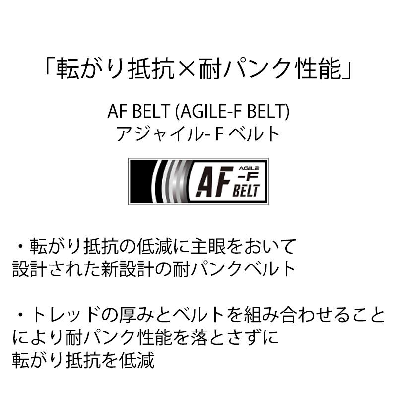Panaracer（パナレーサー） 【2本セット】AGILEST FAST （アジリスト