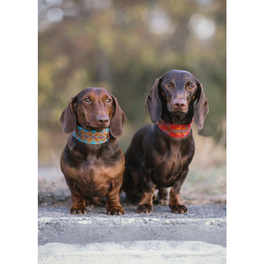 ☆超目玉】Etna Red スペイン製 高級犬用首輪（小型犬 中型犬） 首輪