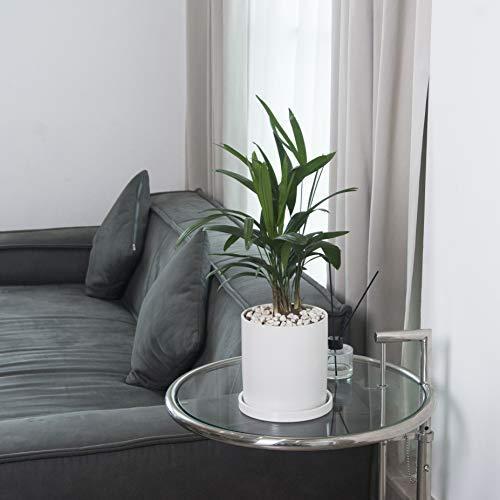 Ekirlin 植木鉢 陶器鉢 白 おしゃれ 受け皿付き 穴付き 色 鉢 プランター 鉢植え 北欧 室内 インテリア 部屋 飾り 観葉植物 10 6cm 4号 多種サイズ 色選択可 驚きの安さ