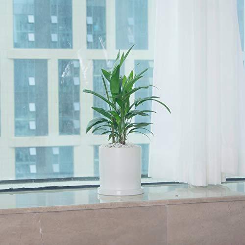 Ekirlin 植木鉢 陶器鉢 白 おしゃれ 受け皿付き 穴付き 色 鉢 プランター 鉢植え 北欧 室内 インテリア 部屋 飾り 観葉植物 10 6cm 4号 多種サイズ 色選択可 驚きの安さ