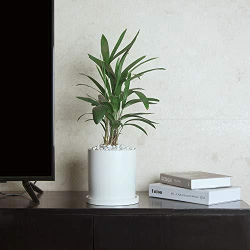 Ekirlin 植木鉢 陶器鉢 白 おしゃれ 受け皿付き 穴付き 色 鉢 プランター 鉢植え 北欧 室内 インテリア 部屋 飾り 観葉植物 10 6cm 4号 多種サイズ 色選択可 驚きの安さ