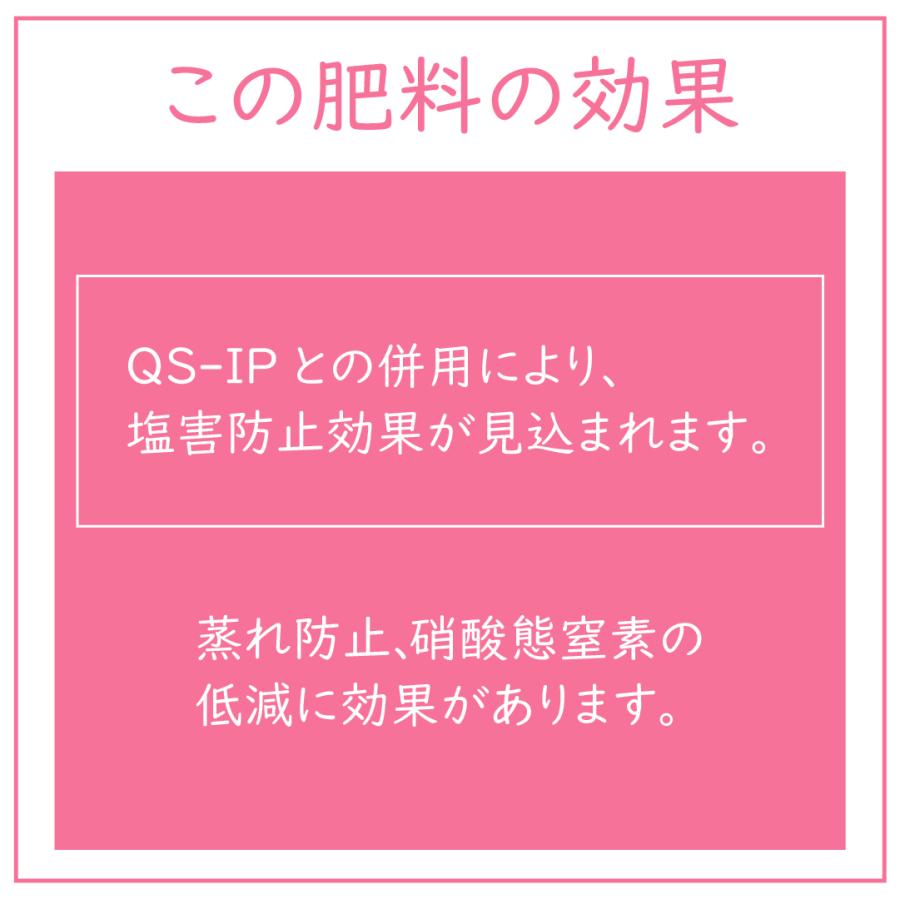 QS-H2 |  | 02