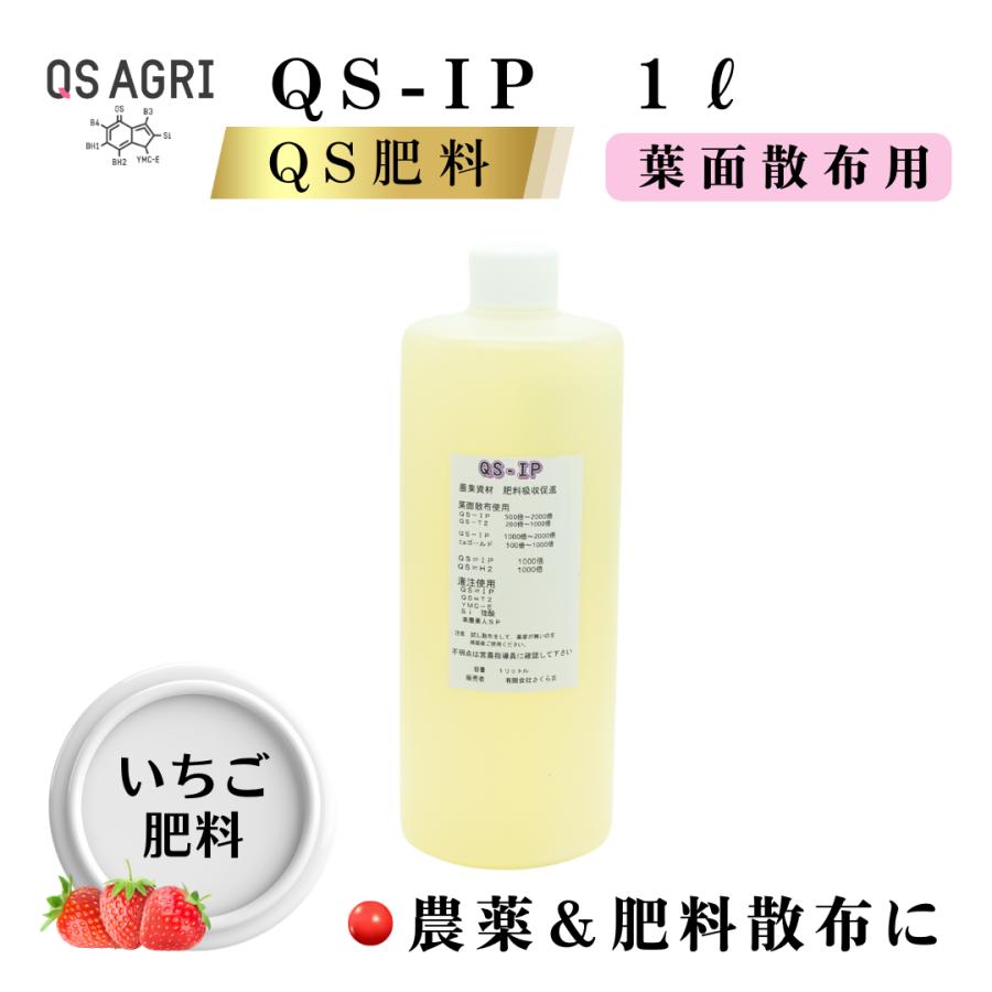 QS-IP | 