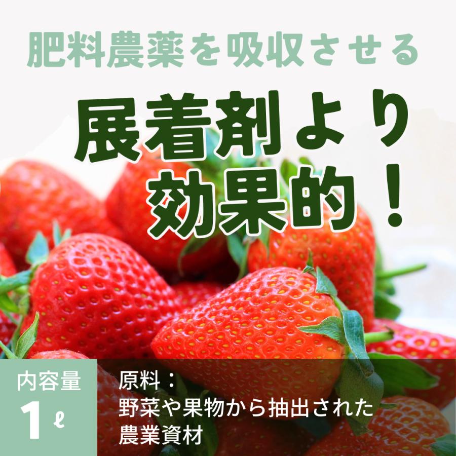 QS-IP |  | 01