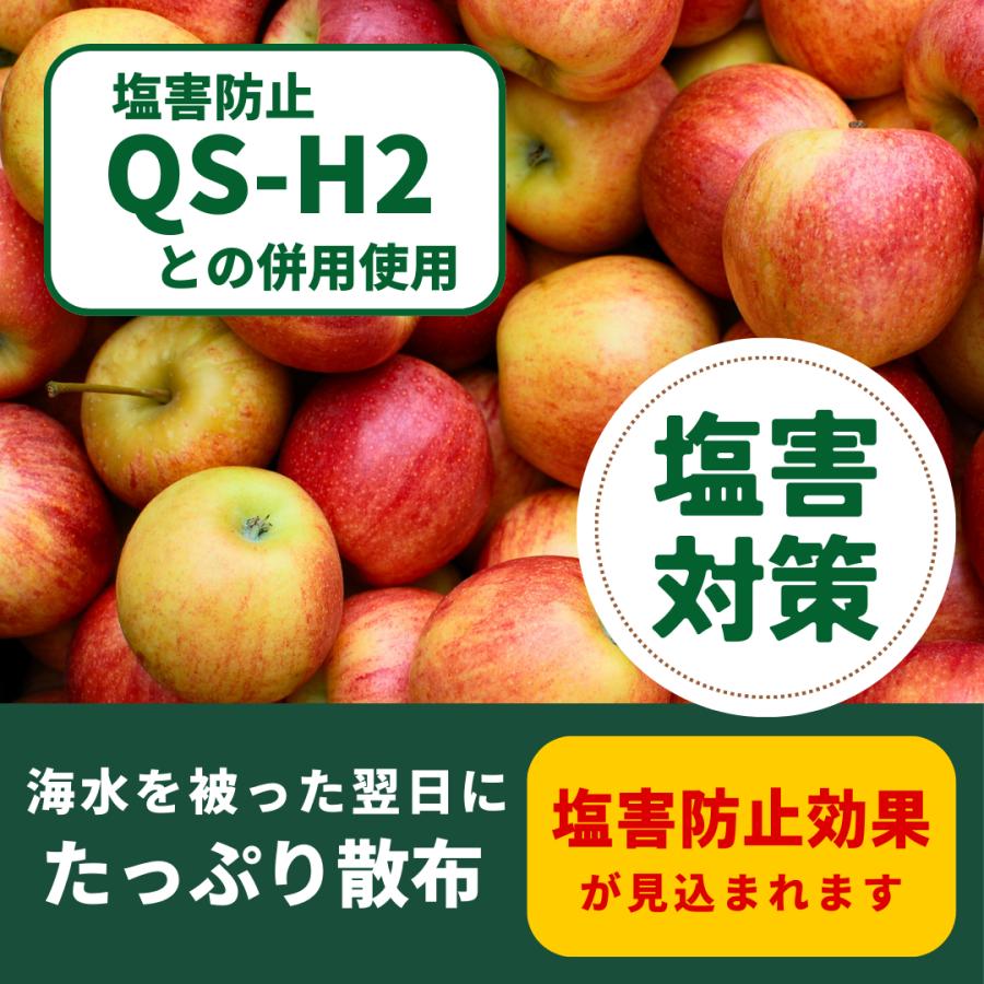QS-IP |  | 04