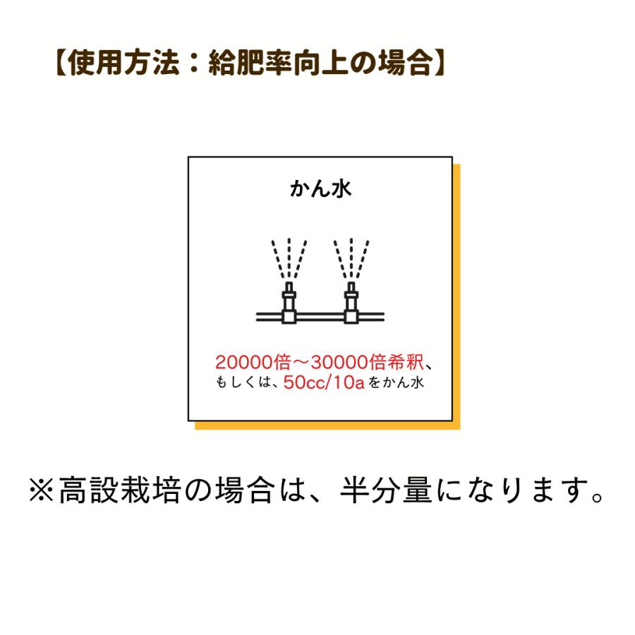 QS-IP |  | 05