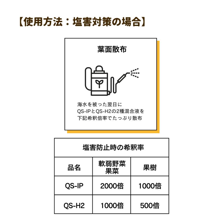 QS-IP |  | 06