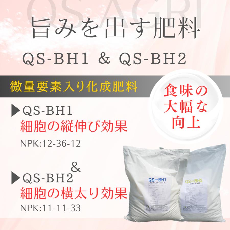 灌水スタートキット(2タンク）100L用 : QS agri - 通販 - Yahoo