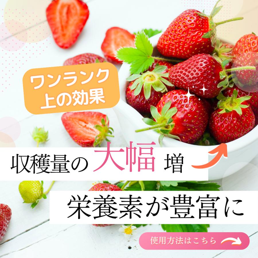 灌水スタートキット(２タンク）100L用 |  | 03