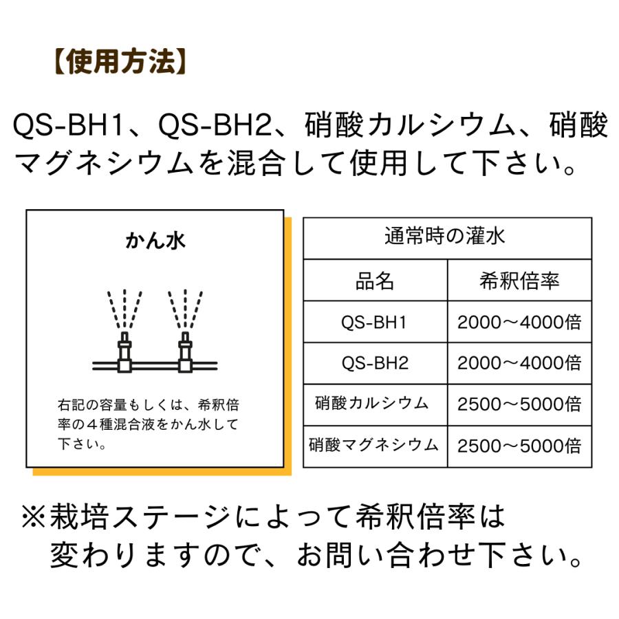 灌水スタートキット(２タンク）100L用 |  | 04