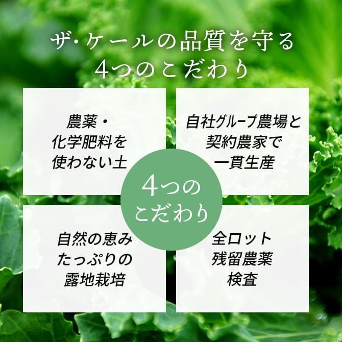 THE KALE ＋ハチミツ 30本入×2箱 キューサイ青汁 ザ・ケール＋