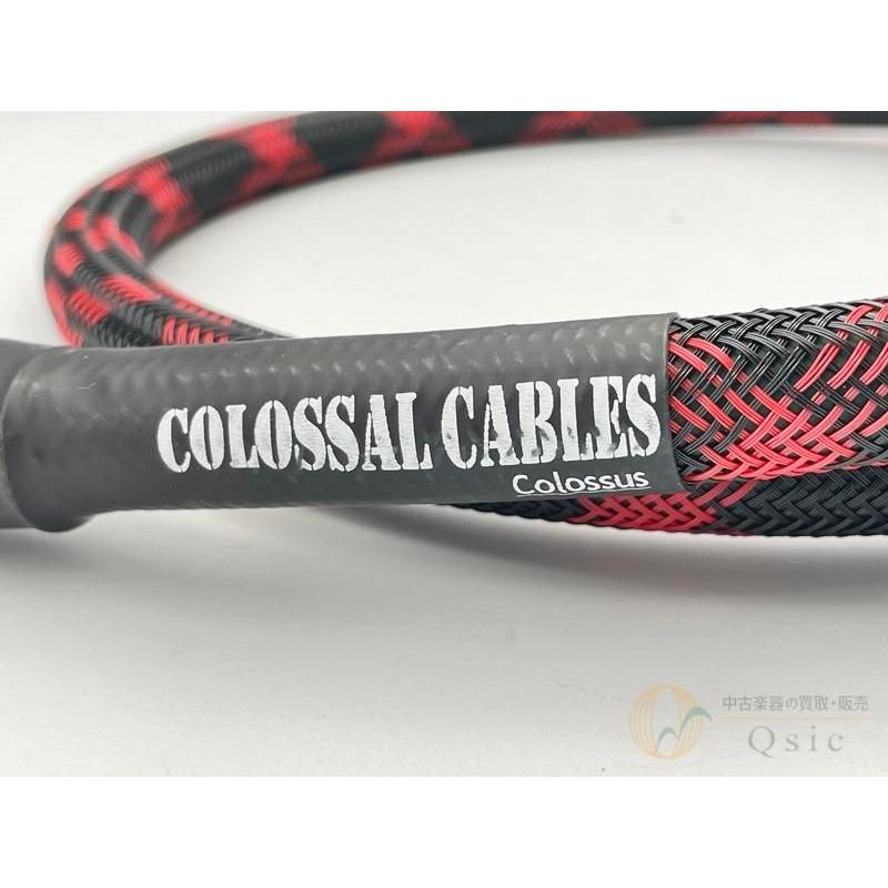 新品同様] Colossal Cable Colossus Speaker 3ft ST/ST [MLN39]【梅田 