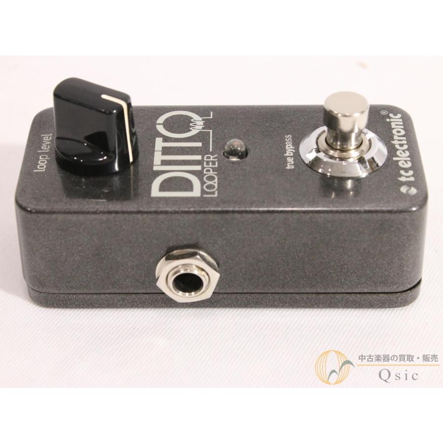美品] tc electronic Ditto Looper [OM865]【神戸店在庫】 : 中古楽器