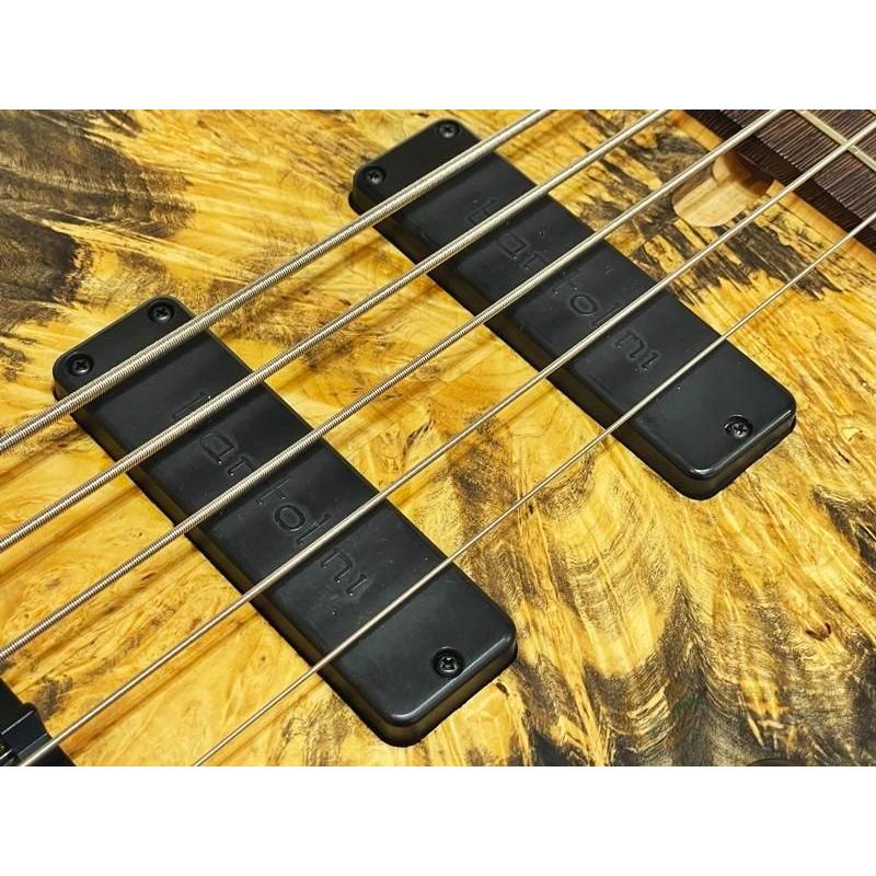 【SALE!!】[良品] Elrick Platinum Series e-volution 5st -Buckeye Burl- 【返品OK】[PLR17]【箕面店在庫】の画像
