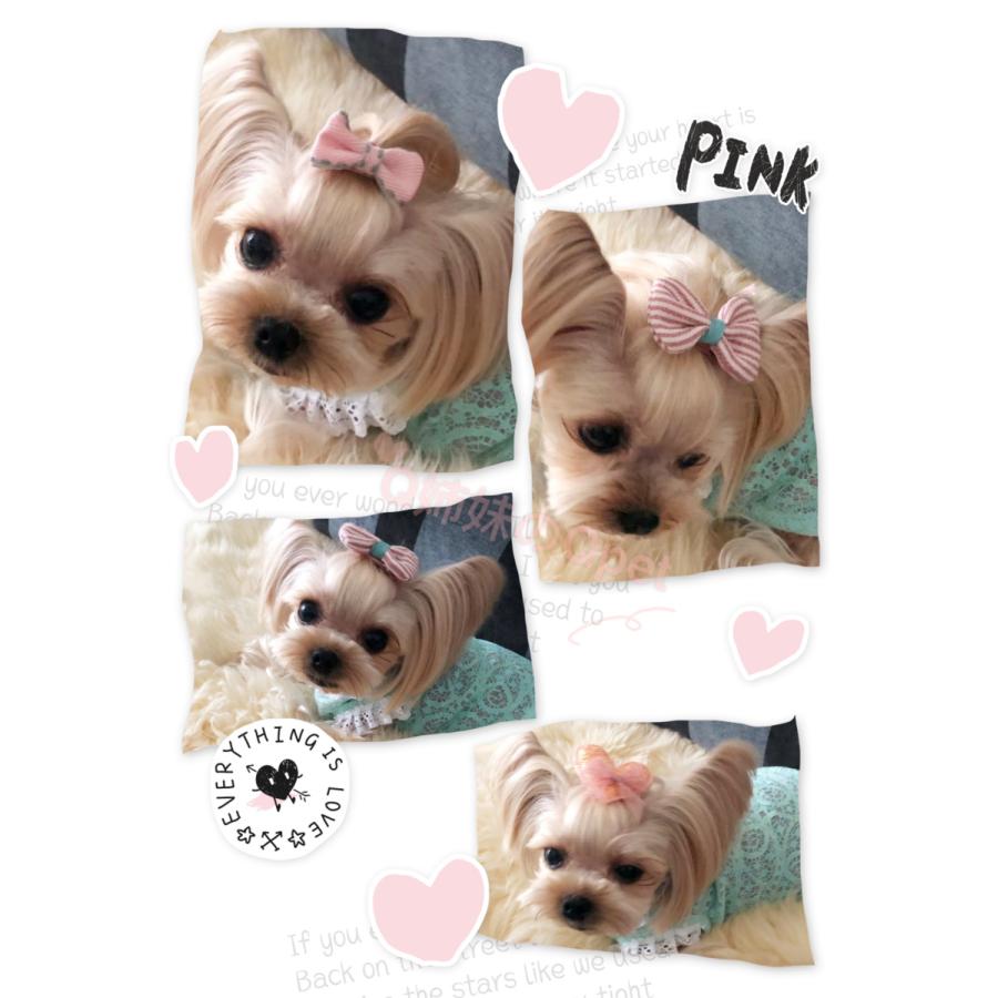 メール便送料無料 ヘアピン 子供 キッズ 犬 ヘアクリップ ペット 子供 ヘアーアクセサリー 髪飾り 犬の髪留め 2点セット ピンク リボン ウサギ きらきら Q姉妹のqpet 通販 Yahoo ショッピング